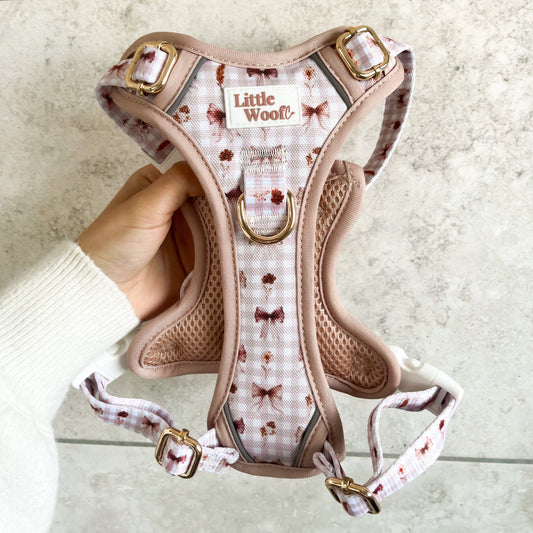 Bows & Bramble - 3-click dog harness