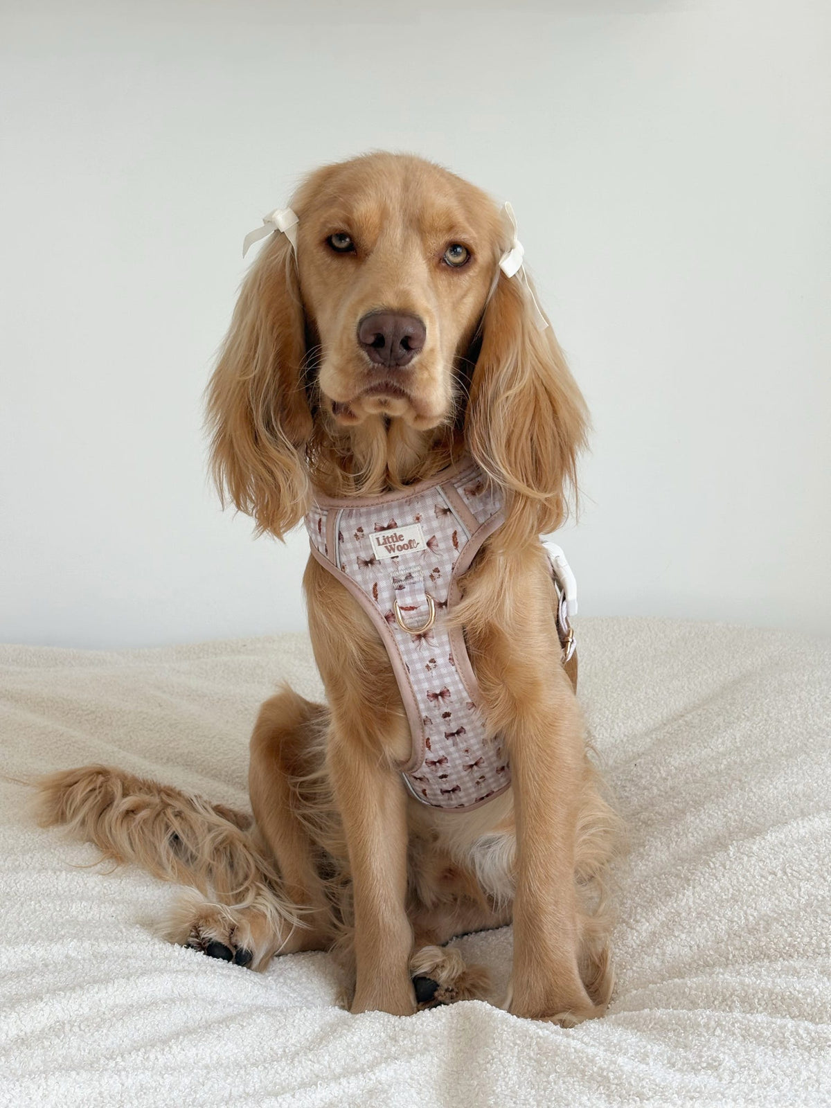 Bows & Bramble - 3-click dog harness