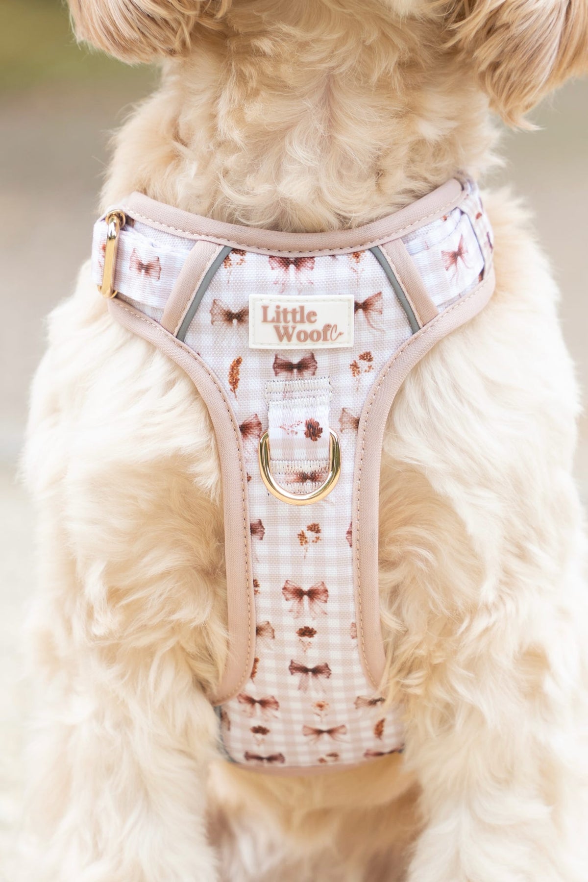 Bows & Bramble - 3-click dog harness