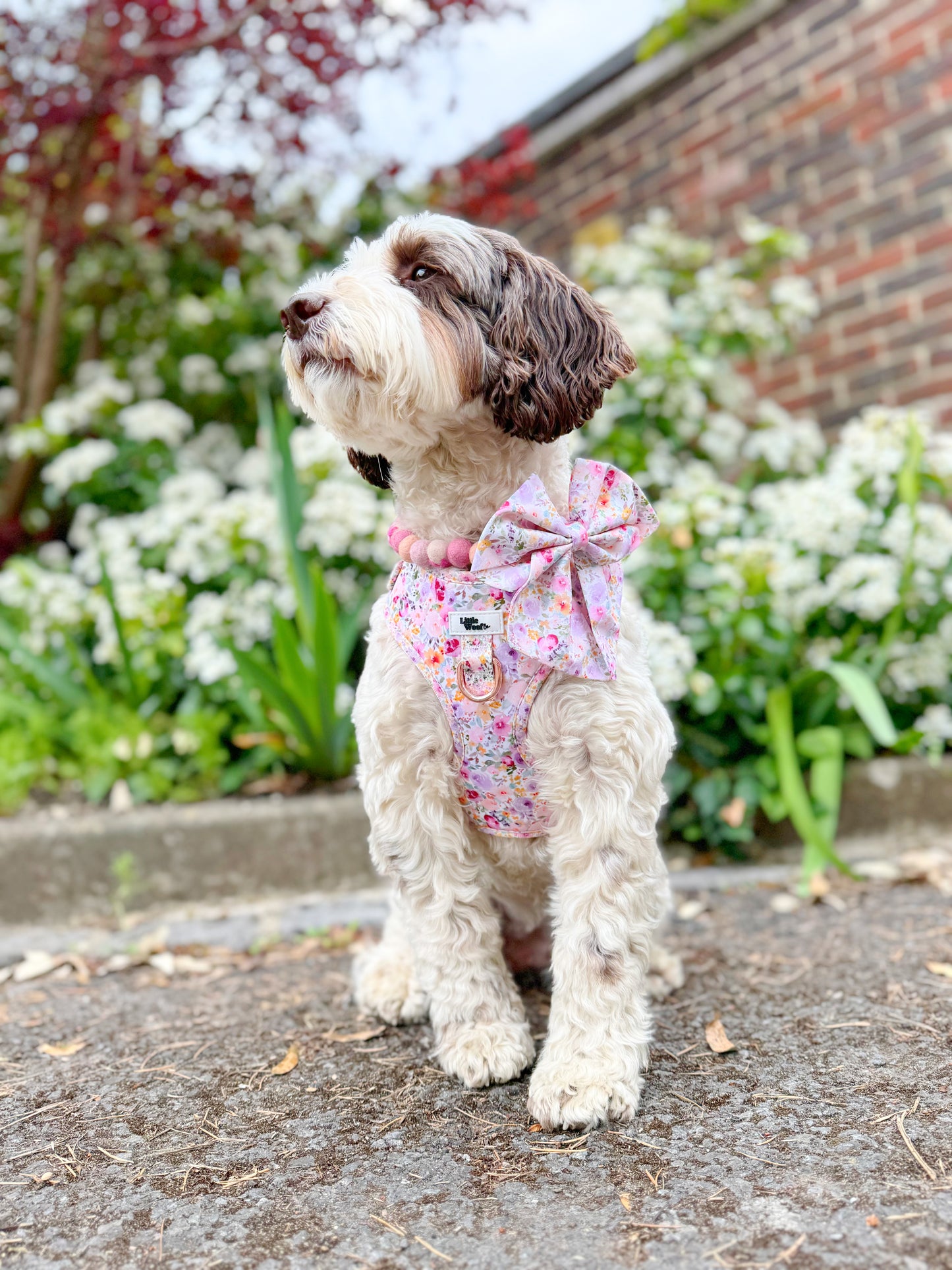 Pastel Bloom - Sailor bow