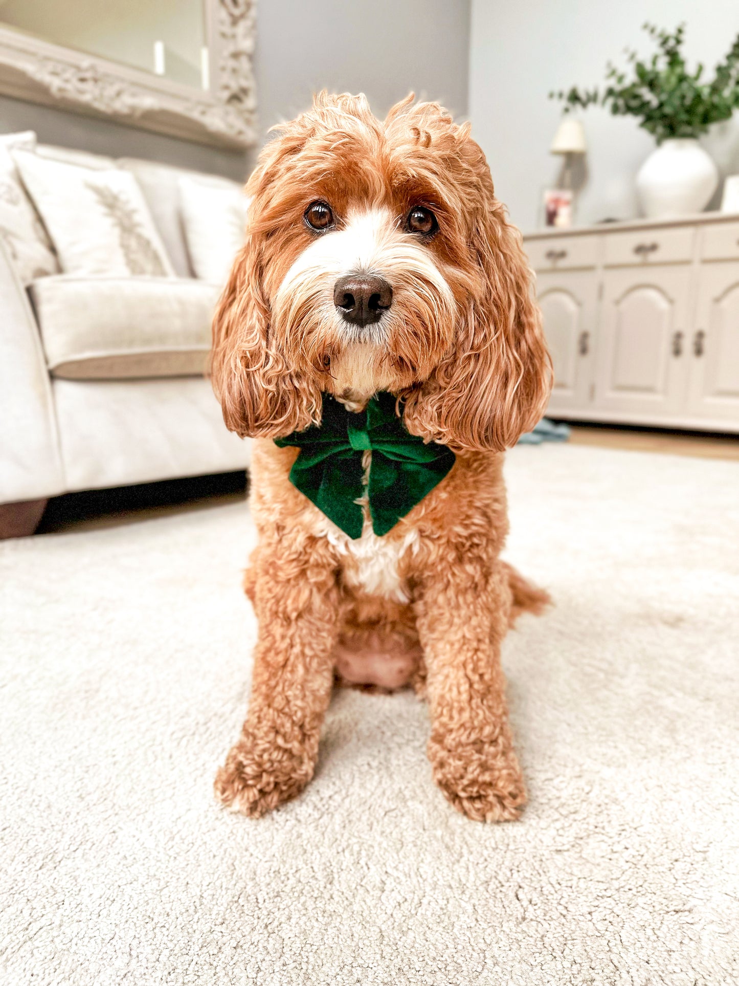 Green velvet sailor bow