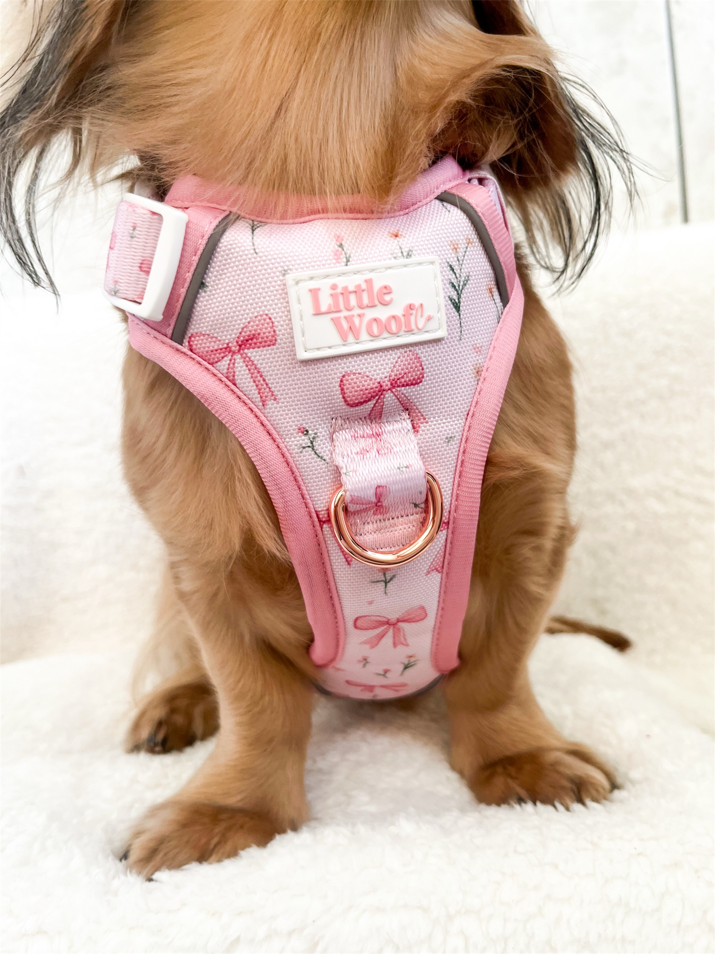 Bows & Bouquets 3-click dog harness