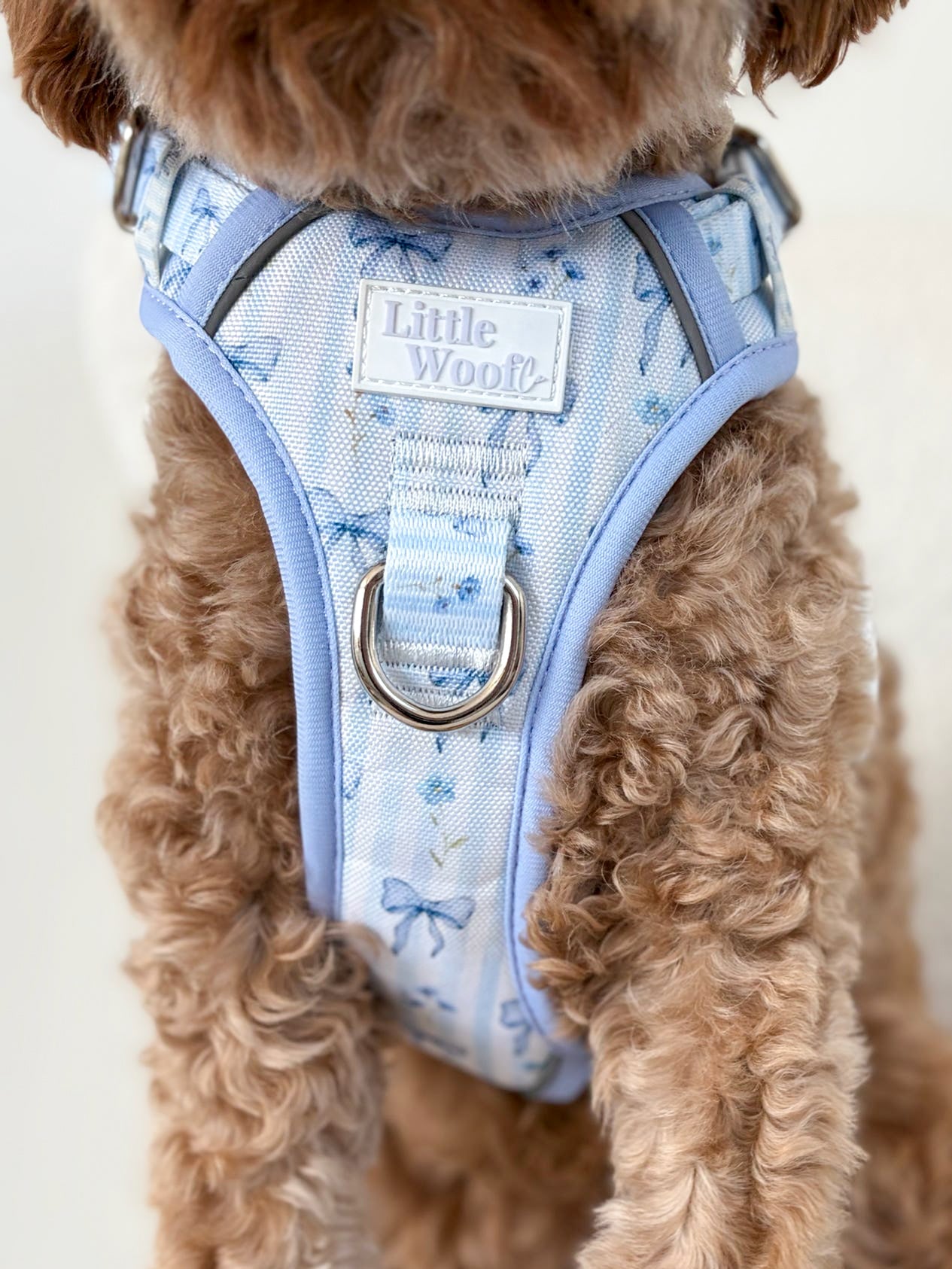 Bows & Bluebells - 3-click dog harness