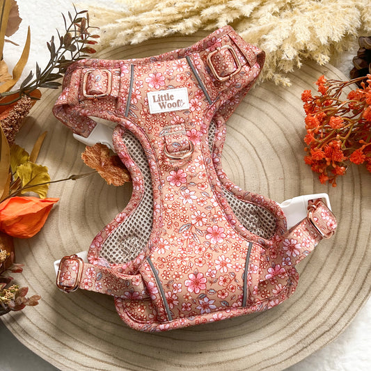 Rustic Rose - 3 click dog harness
