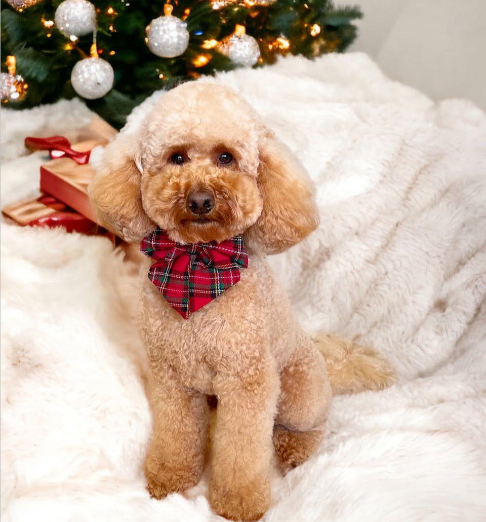 Red tartan Sailor bow