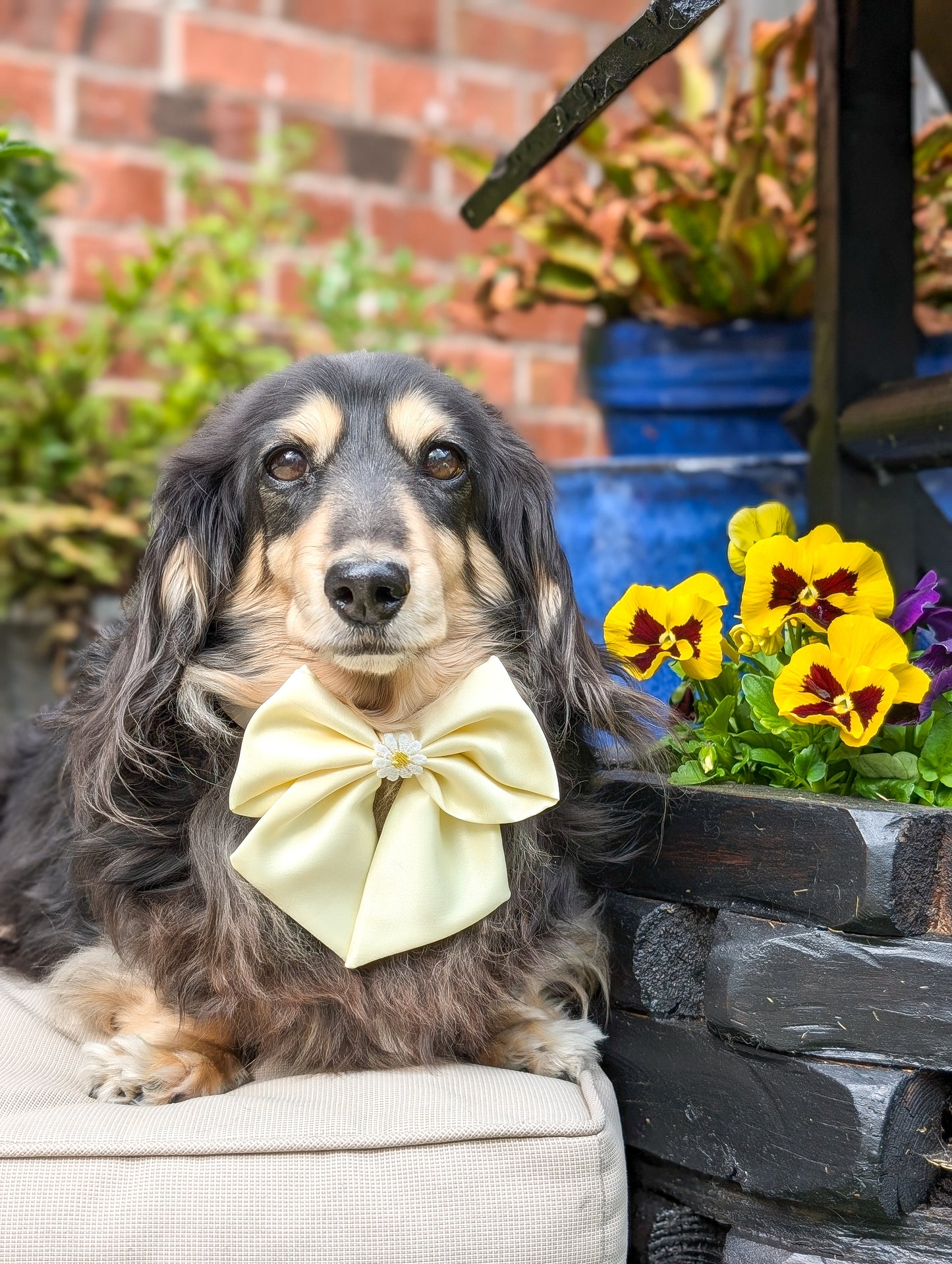 Baby yellow satin sailor bow