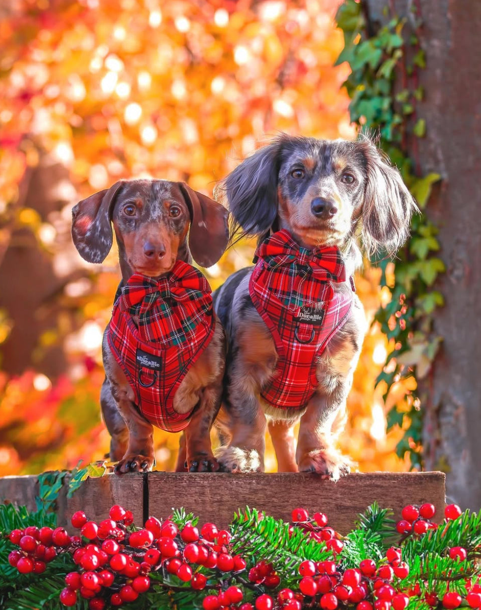 Red tartan Sailor bow