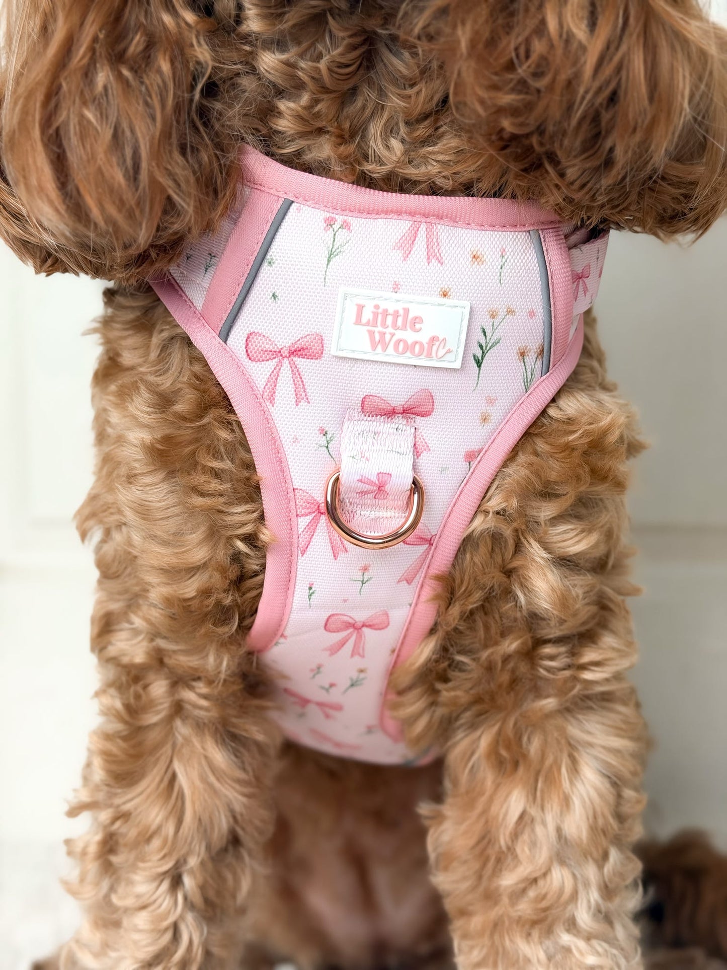 Bows & Bouquets 3-click dog harness