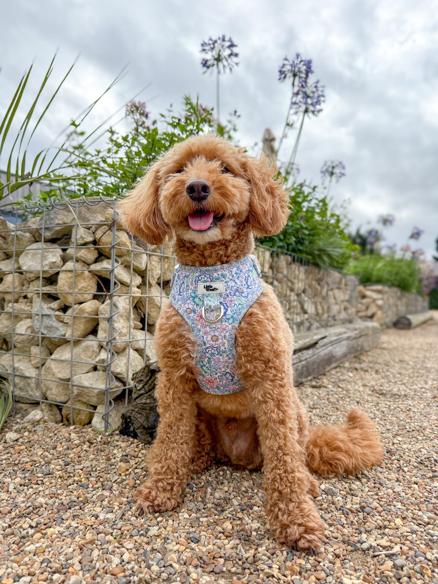 Blooms of Blue - adjustable harness