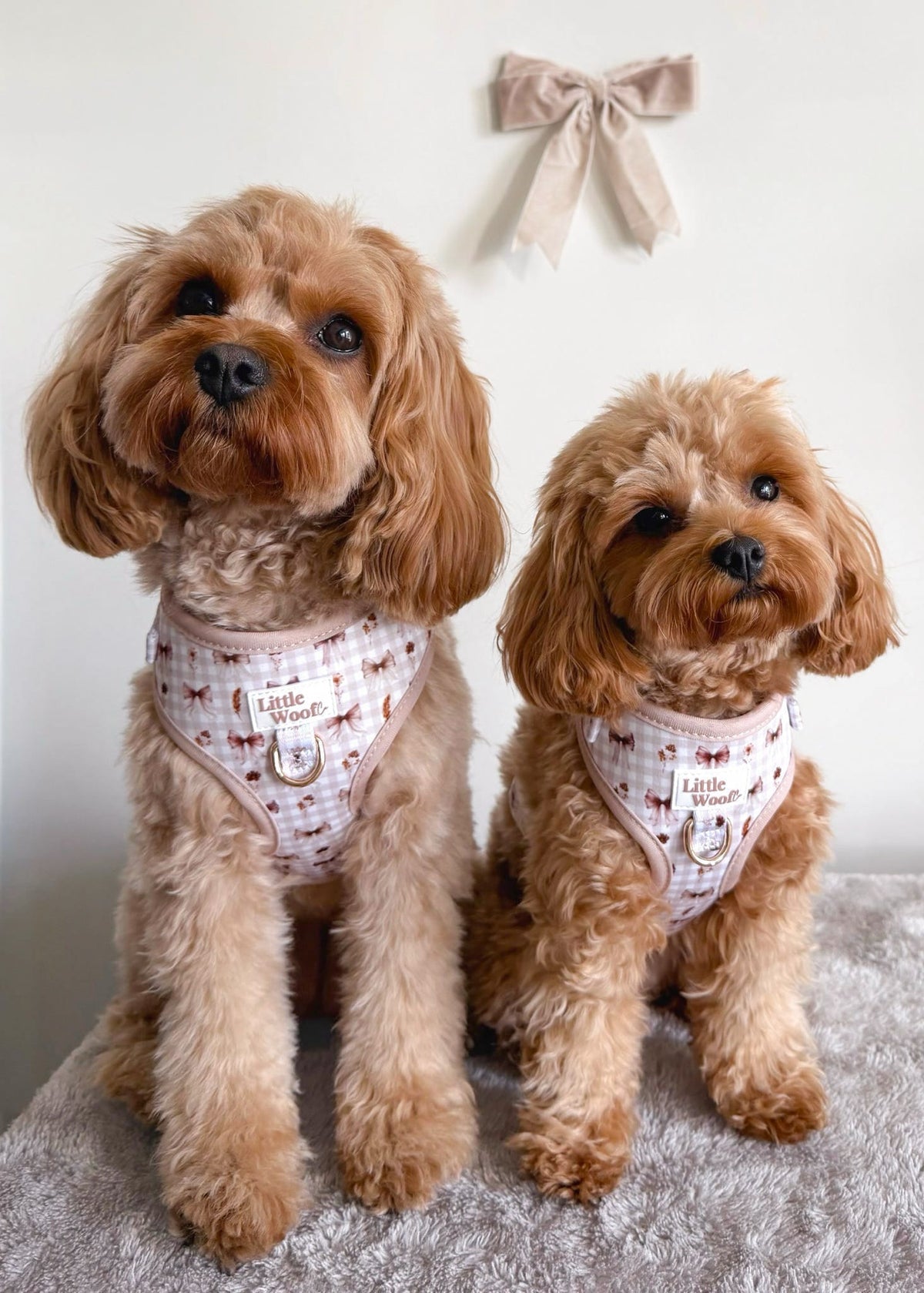 Bows & Bramble - Adjustable dog harness