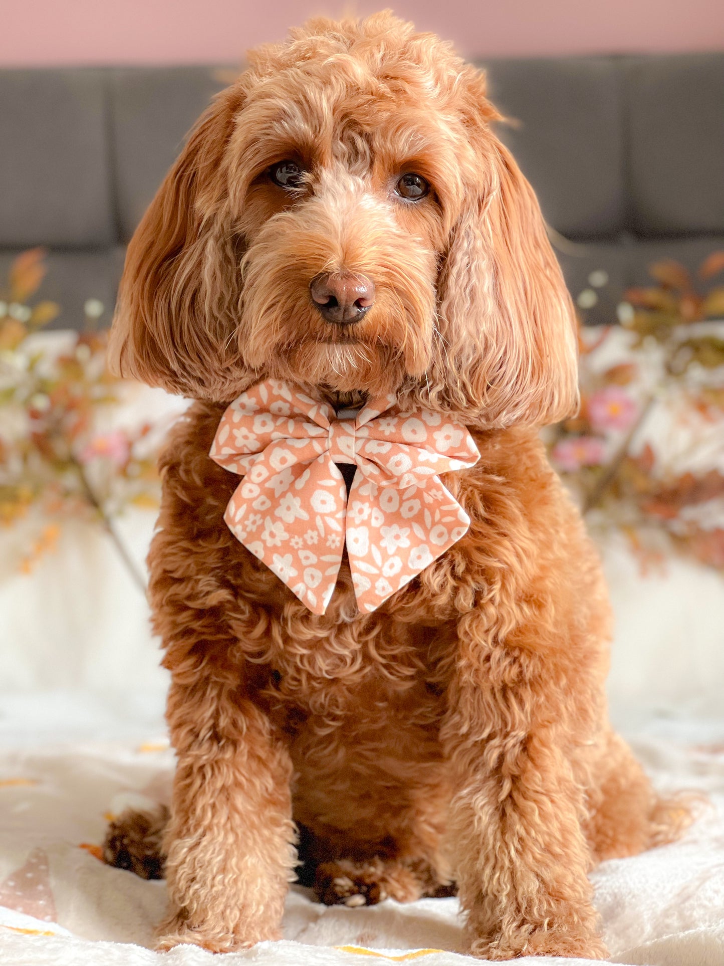 Hazel sailor bow