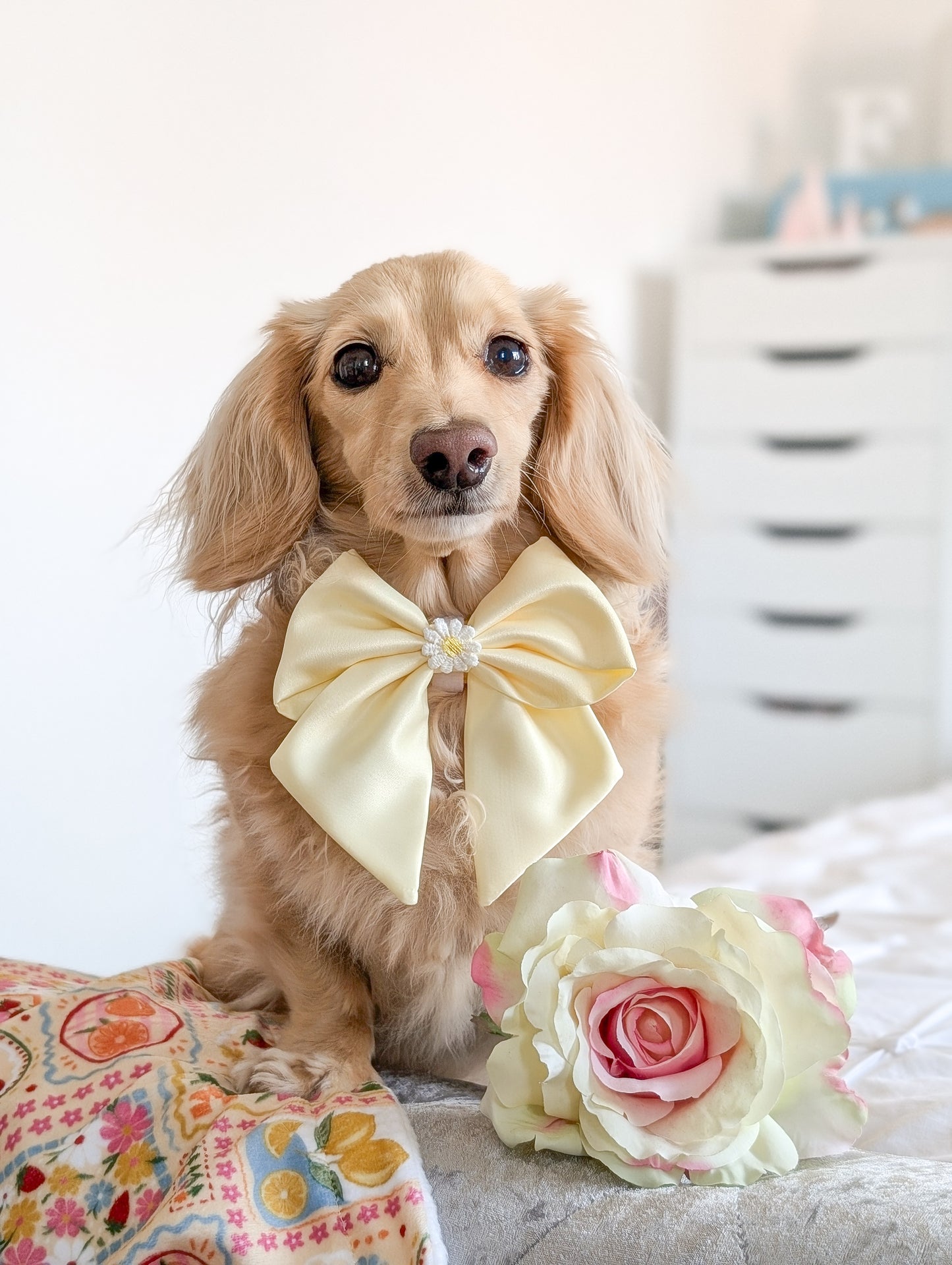 Baby yellow satin sailor bow