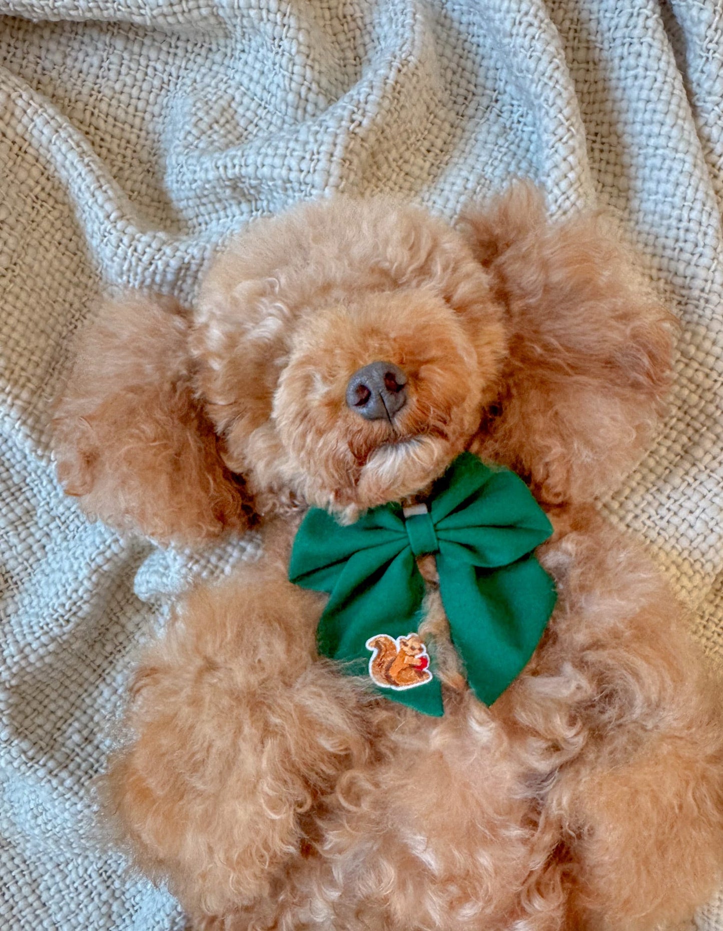 Forest green sailor bow