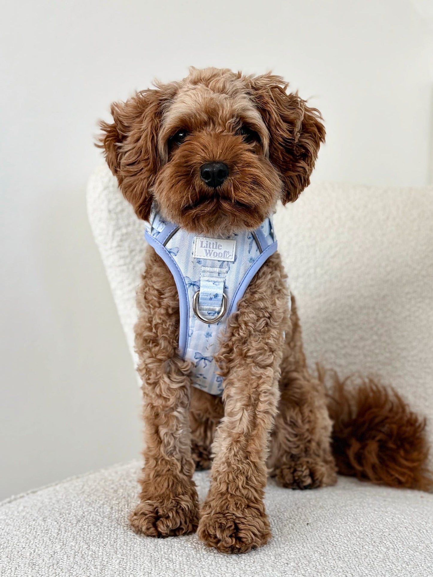 Bows & Bluebells - 3-click dog harness