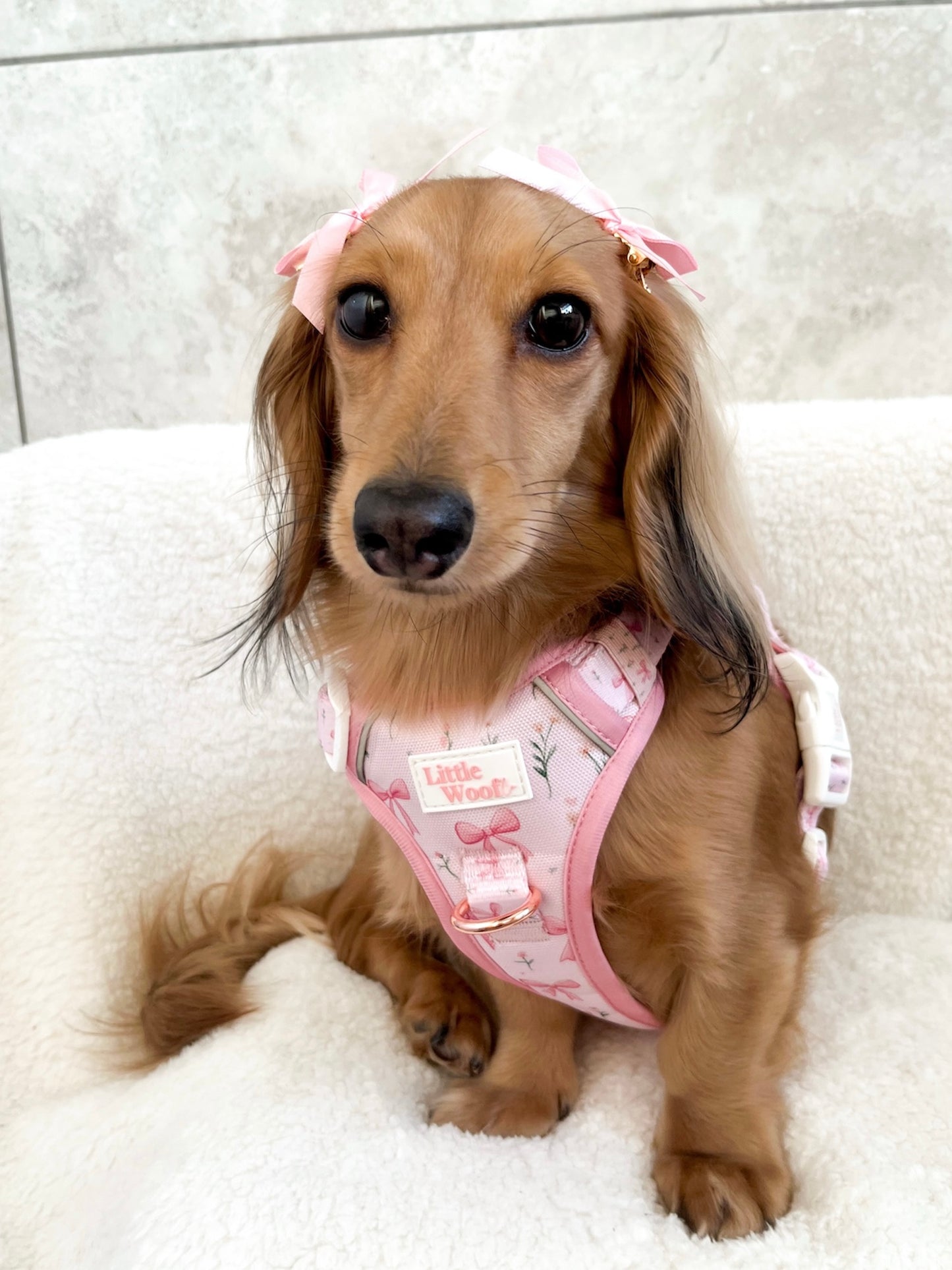 Bows & Bouquets 3-click dog harness