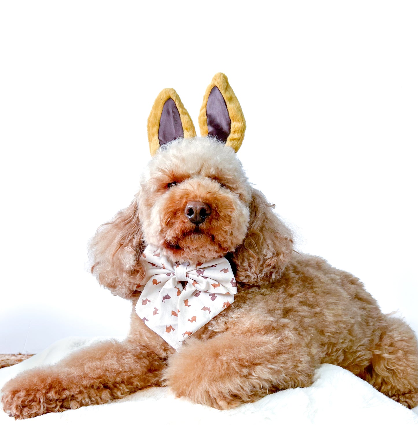 Chocolate Bunnies sailor bow