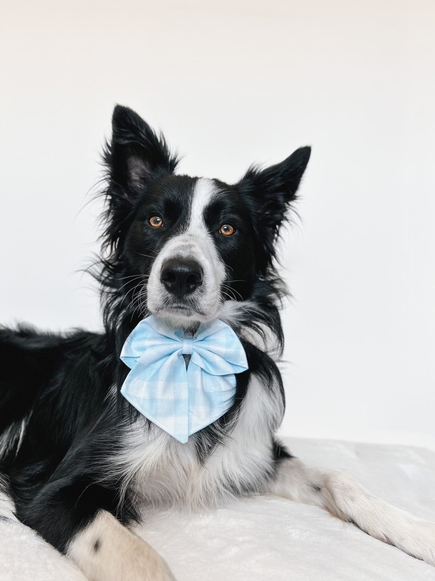 May Spring Sailor Bow