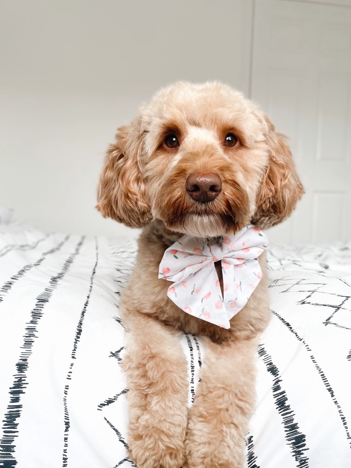 Peaches Spring Sailor Bow