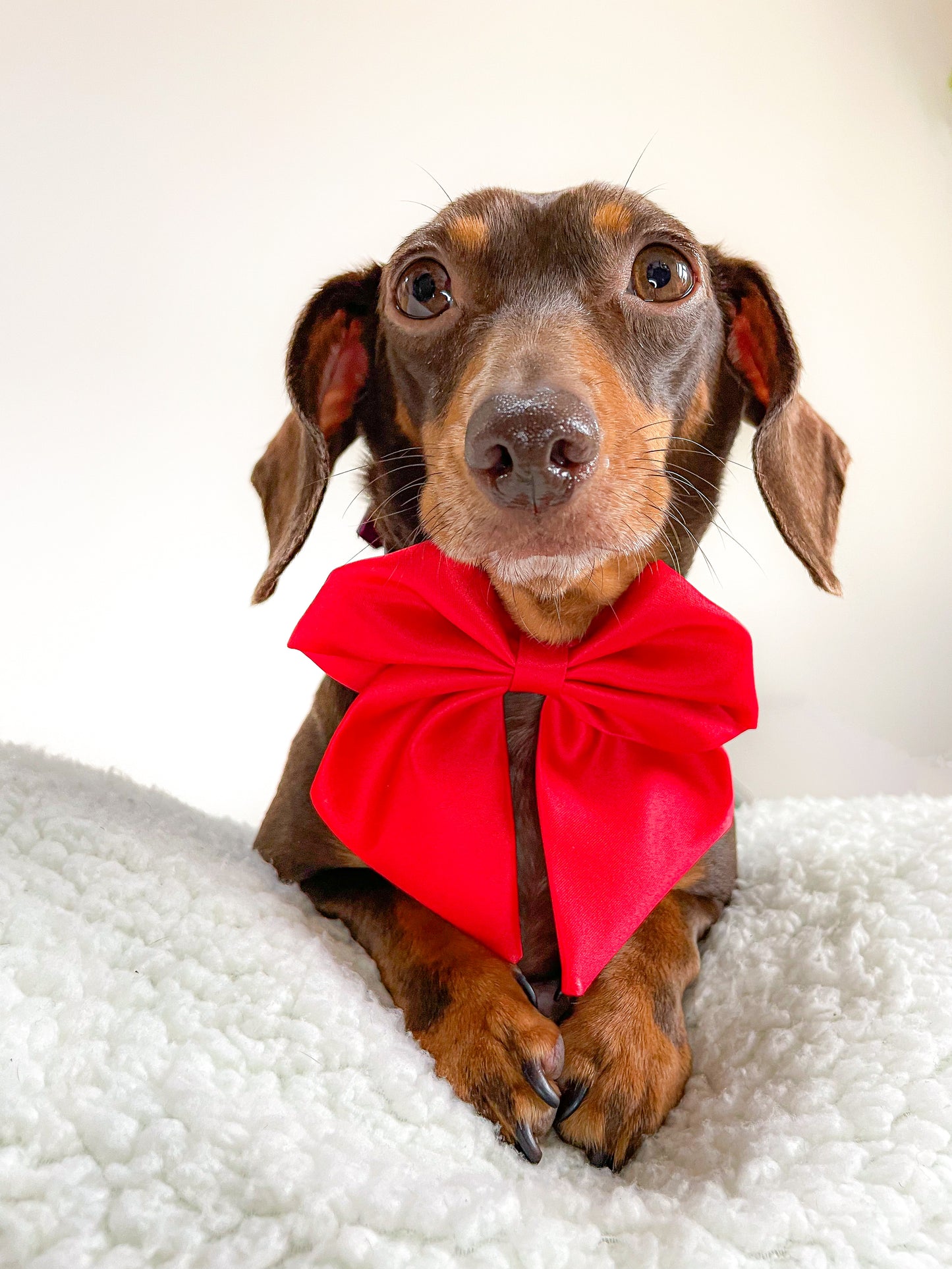 Red satin sailor bow