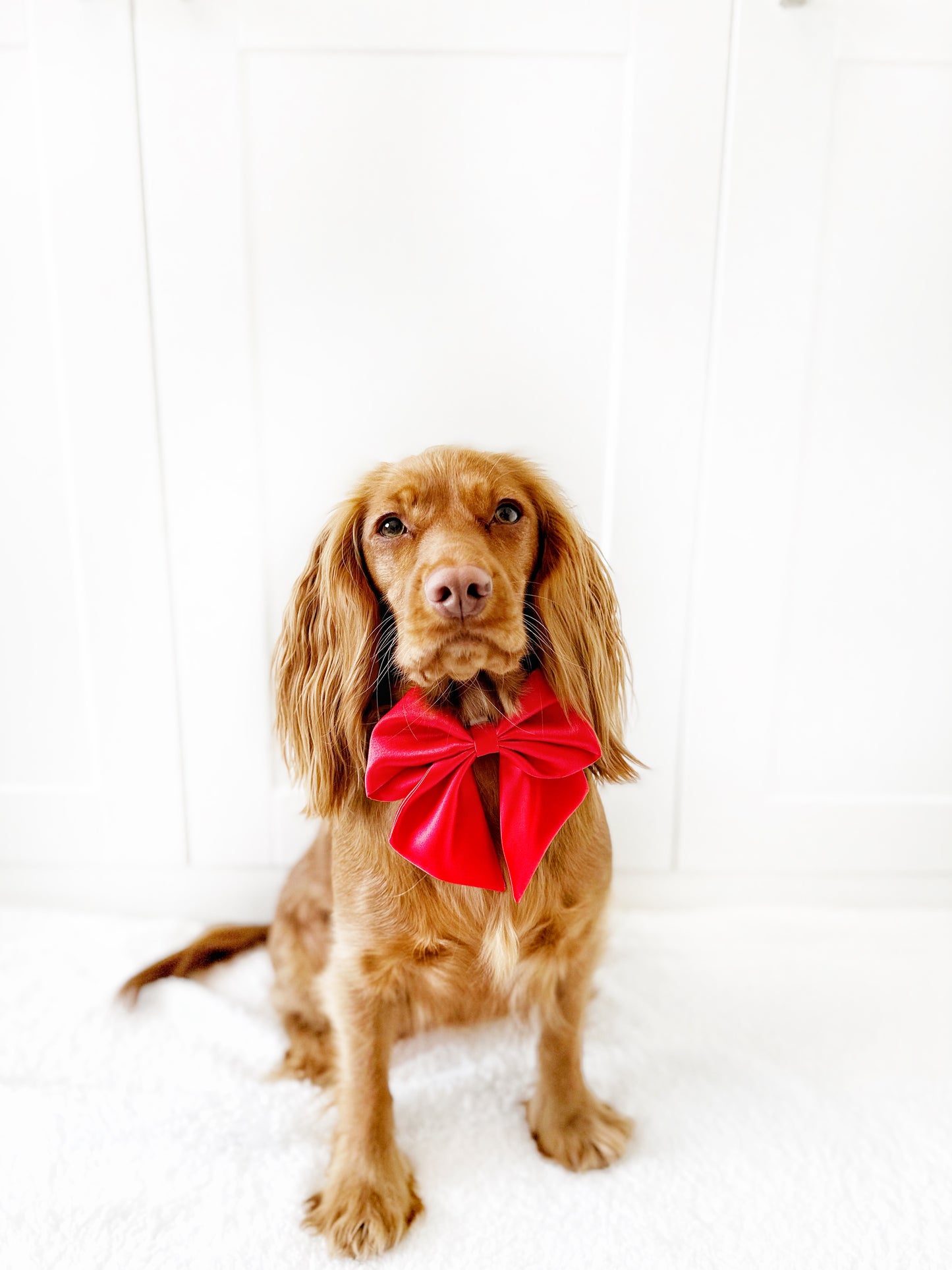 Red satin sailor bow