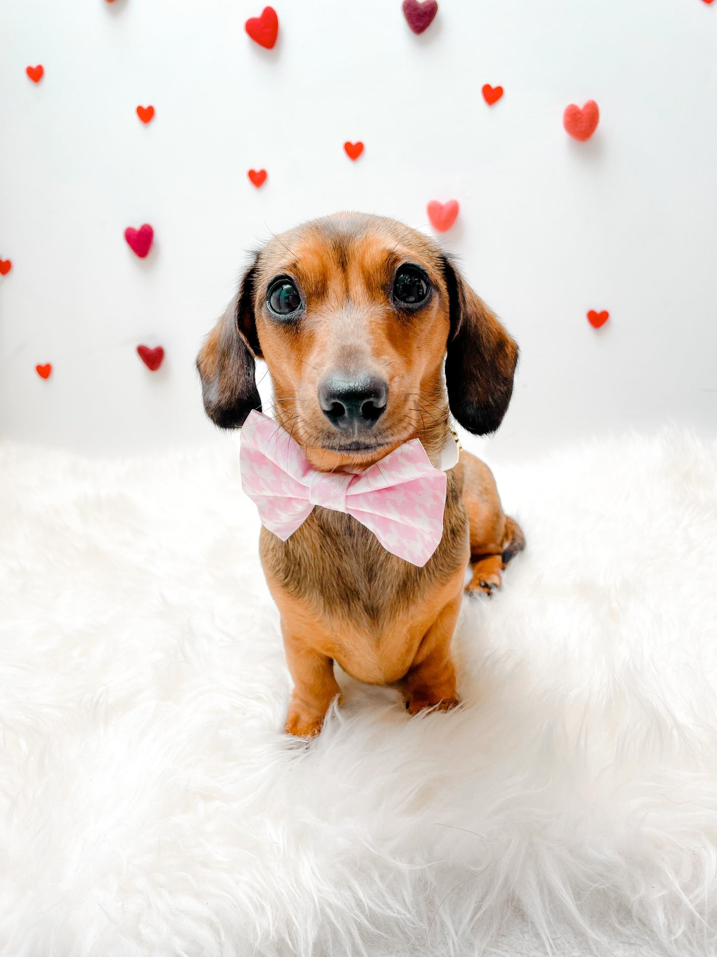 Cherry blossom Bowtie