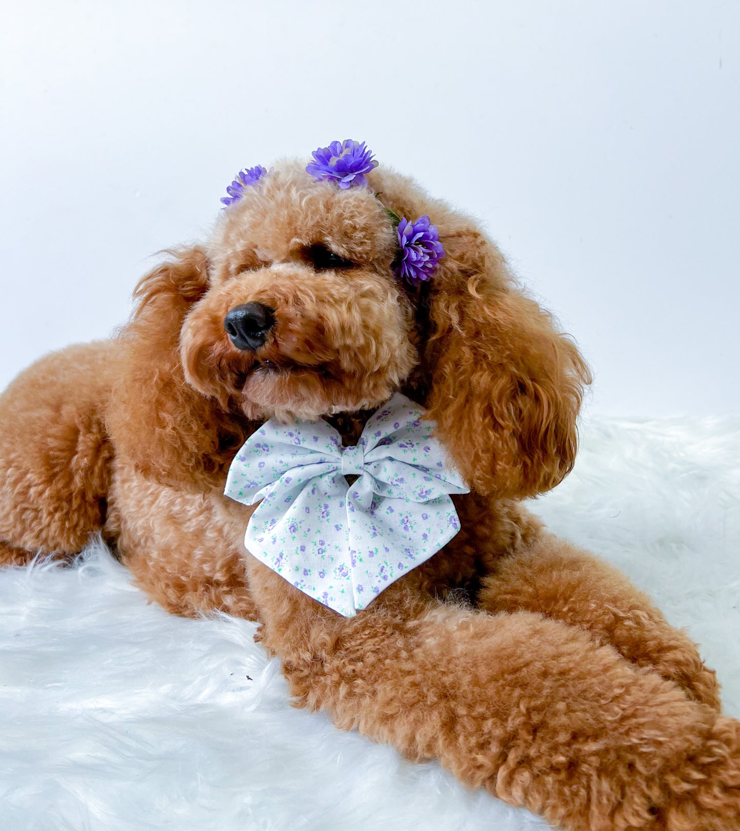 Iris flower Sailor Bow