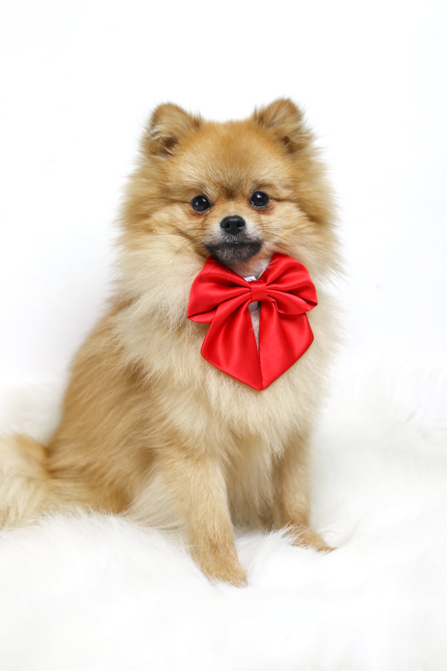Red satin sailor bow
