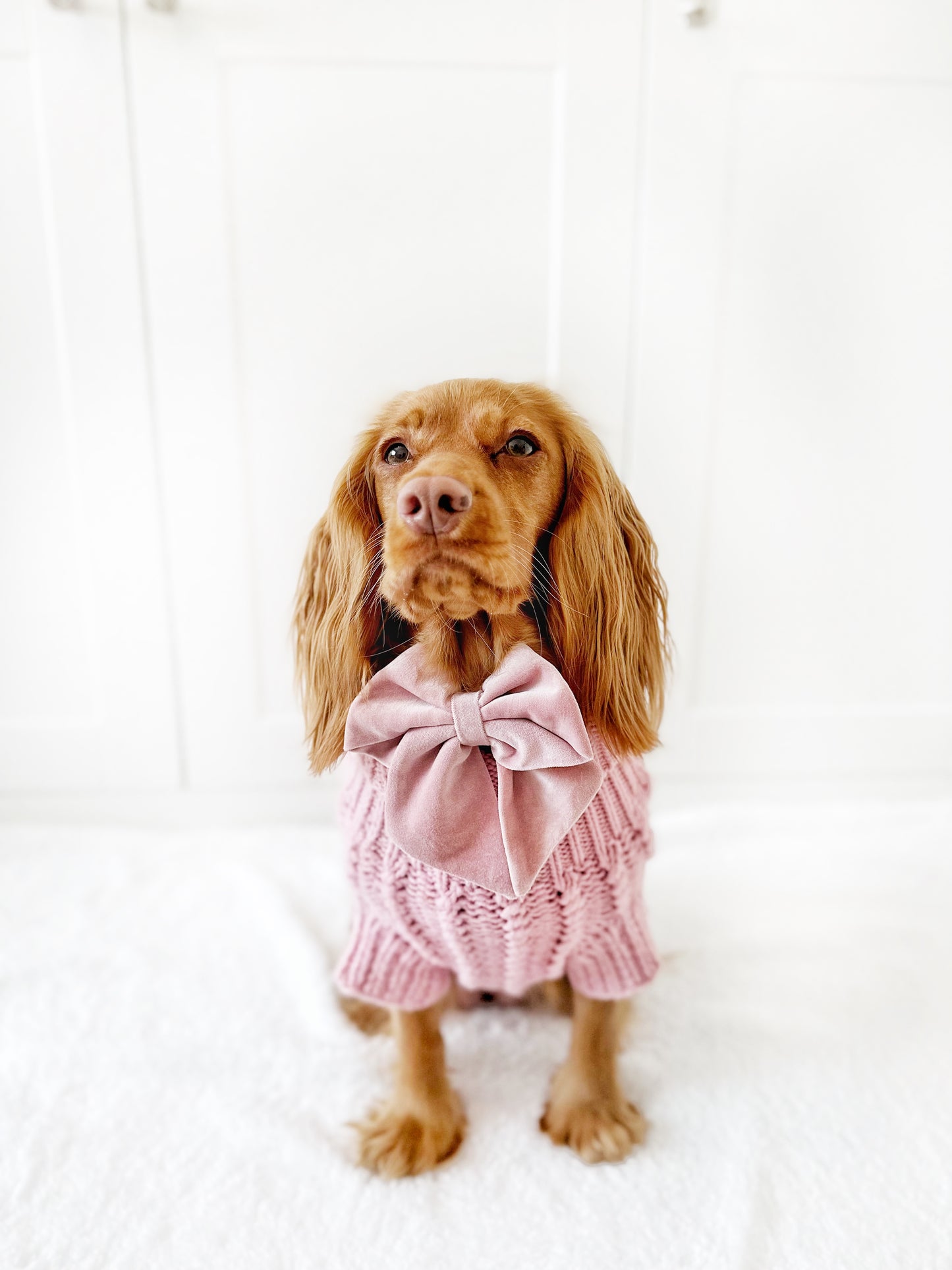Pink velvet sailor bow