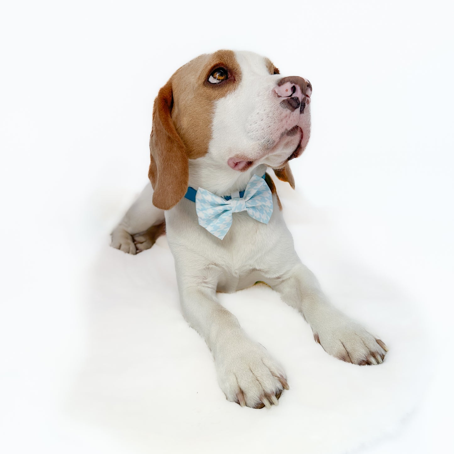Ocean Breeze Bowtie