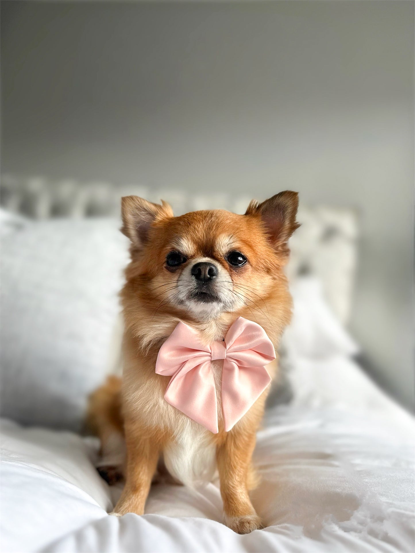 Pink satin sailor bow