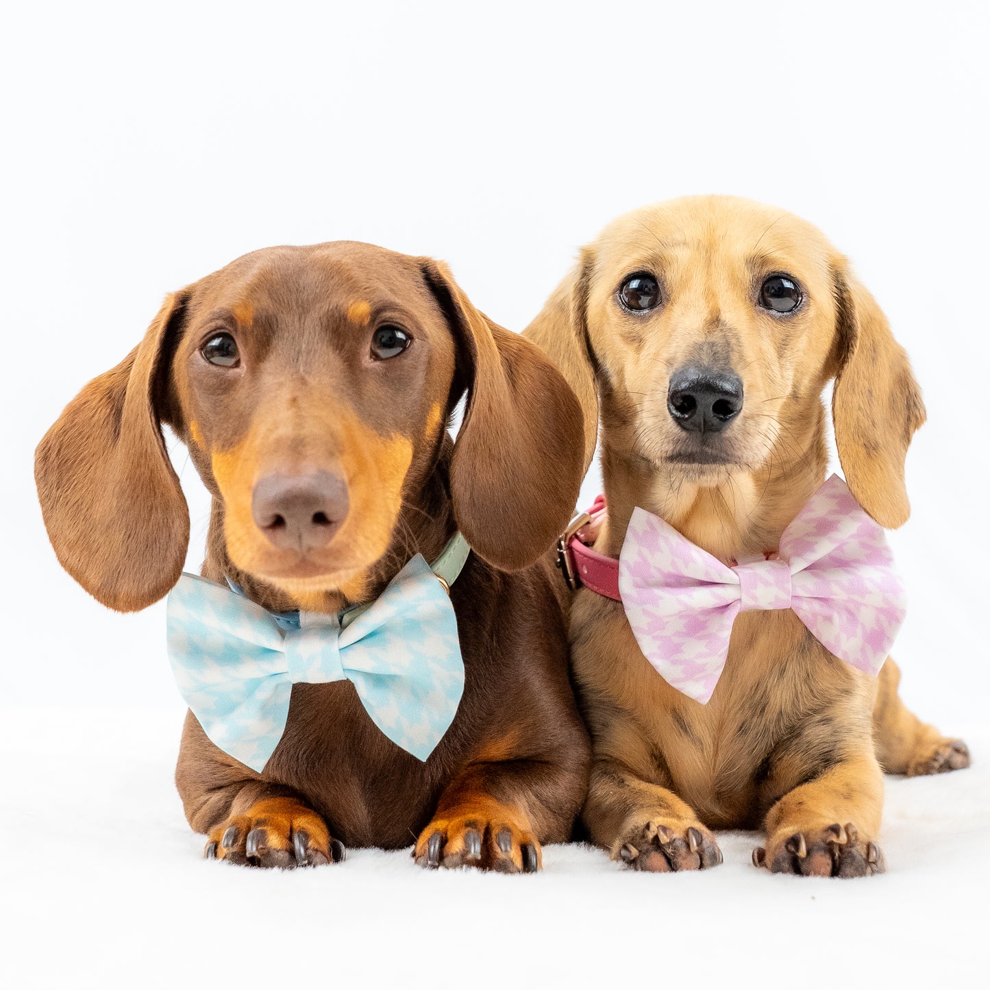 Ocean Breeze Bowtie