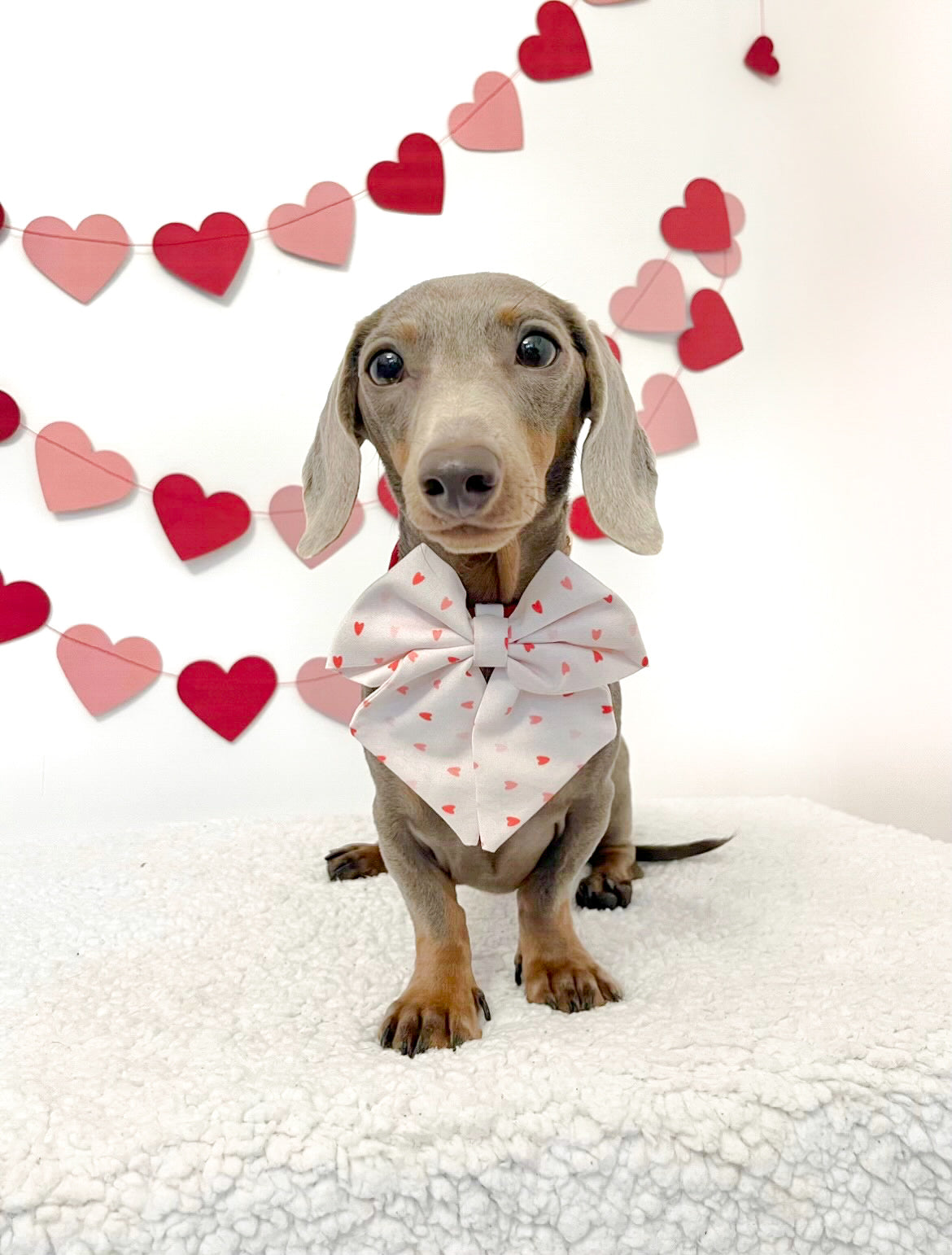 Love hearts sailor bow