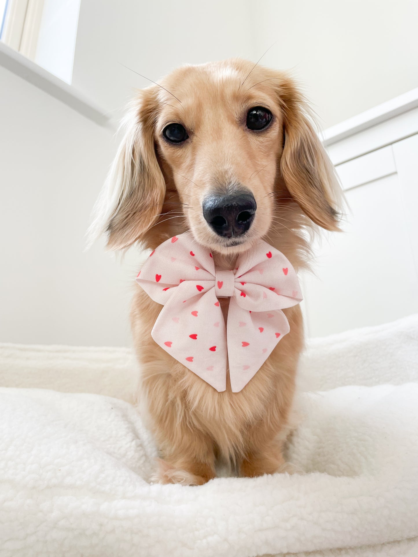 Love hearts sailor bow