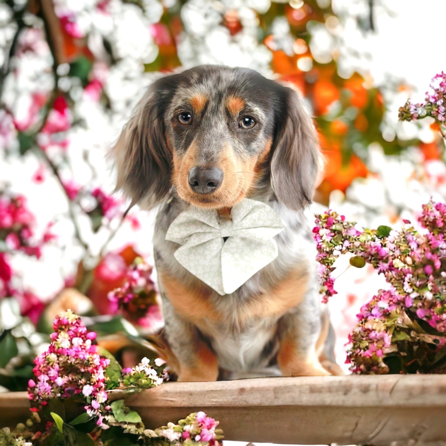 Flora Spring Sailor Bow