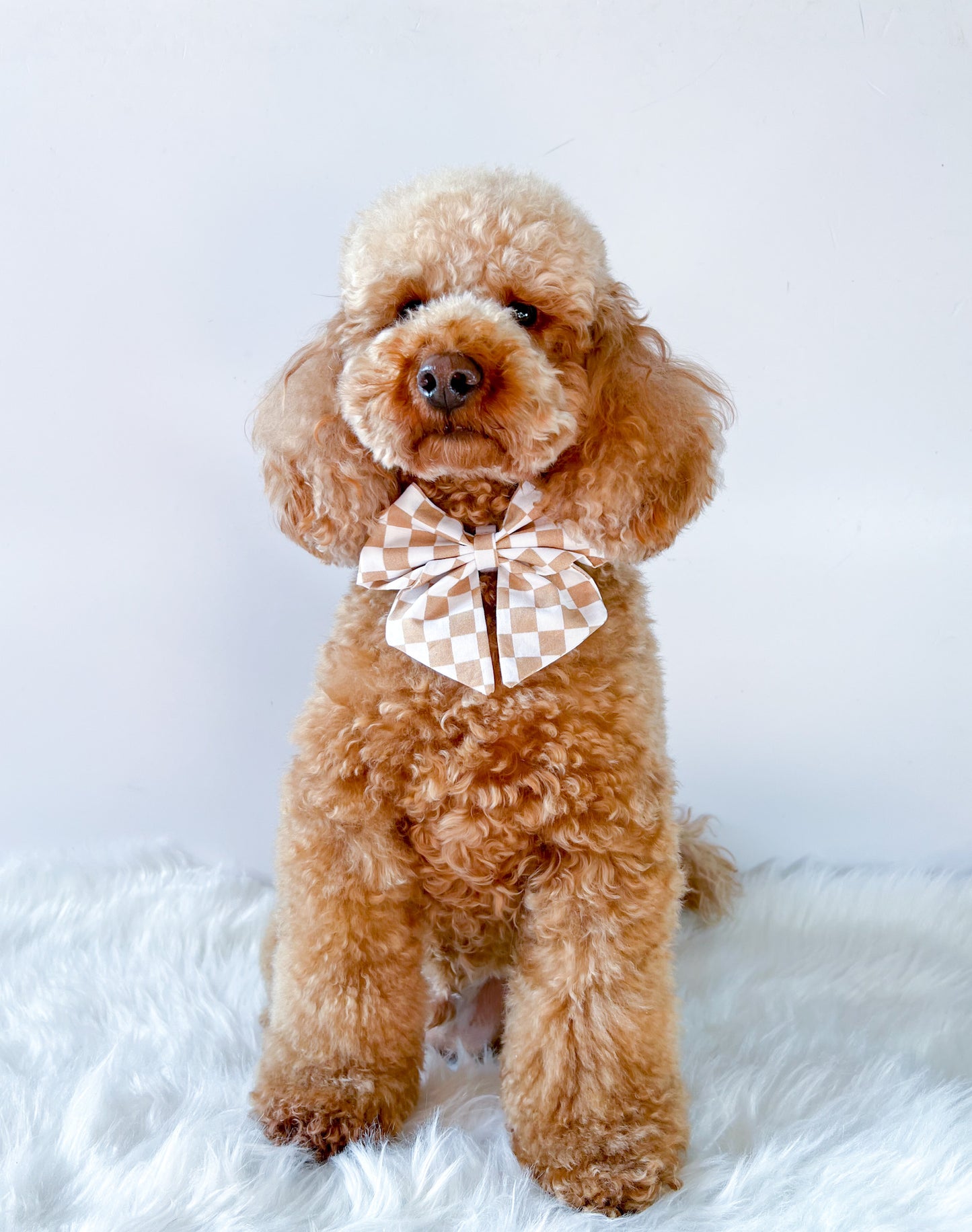 Golden Checkerboard Sailor Bow