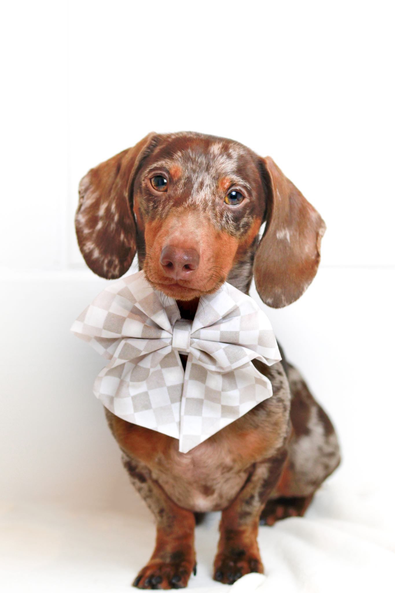 Beige Checkerboard Sailor Bow